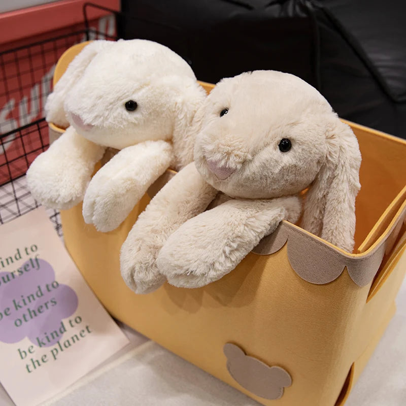 Cuddle bunny
